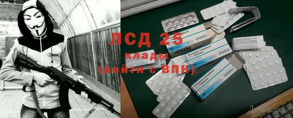 прущие крисы Мегион