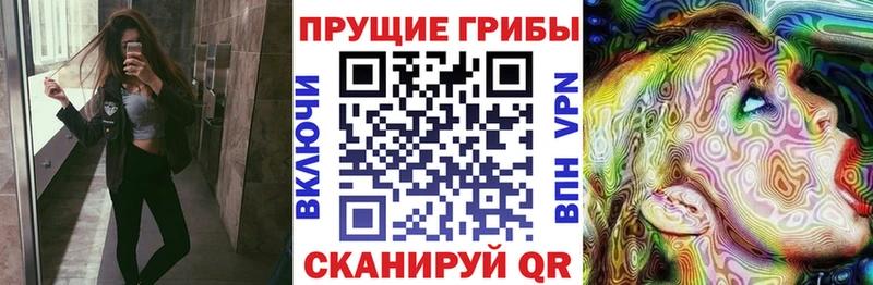 Псилоцибиновые грибы Cubensis  Алагир 